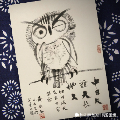猫头鹰～