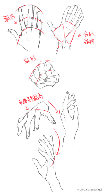 手的画法