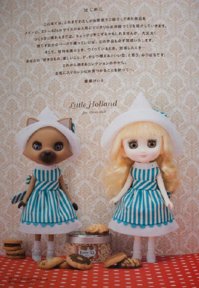 Dolly Dress Book 特别 娃衣制作 多莉