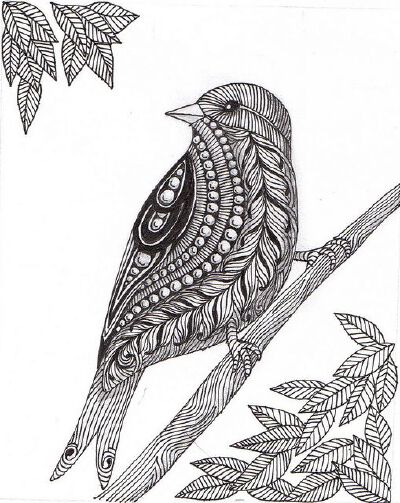 Mother bird