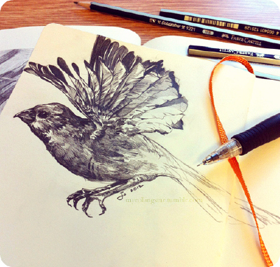 Passer domesticus - sparrow  Bought a few graphite pencils and did some animal studies this weekend! Out of the entire animal kingdom, I enjoy drawing birds the most. Also, thank you for 20,000+ follo…