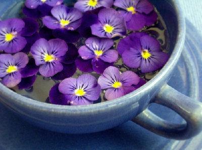 in a teacup