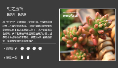 【100种常见多肉植物图鉴】 <wbr>+ <wbr>多肉植物常见问题解答