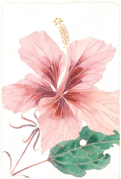 花