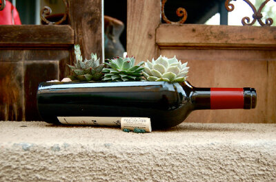 Wine Bottle Garden Planters // Succulent or Air Plant