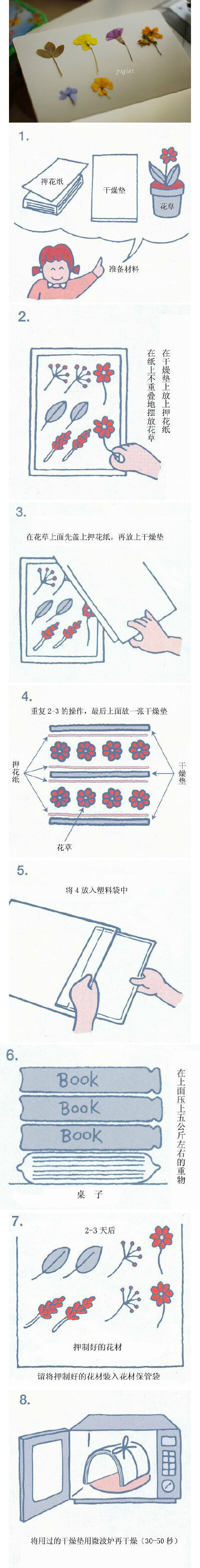 #堆教程#押花步骤~秋天到了，可以押点枫叶什么的，真的好美腻~
