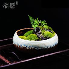 【山寻】常磐日式微景观 原创手工 创意礼品