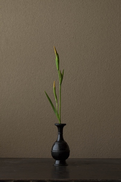 一日一花 川瀬敏郎 B162