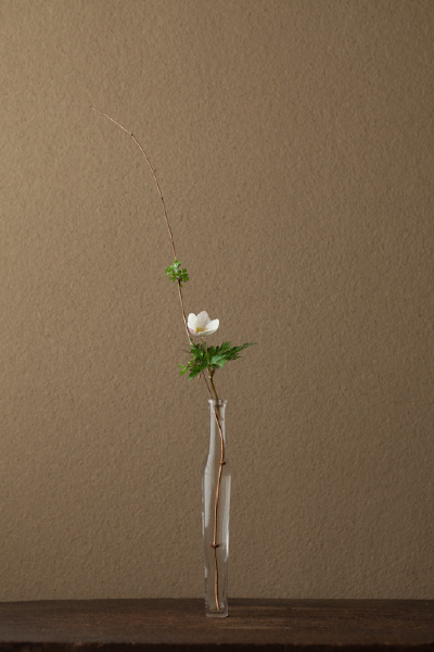 一日一花 川瀬敏郎 B162