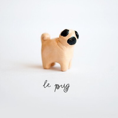 le animale