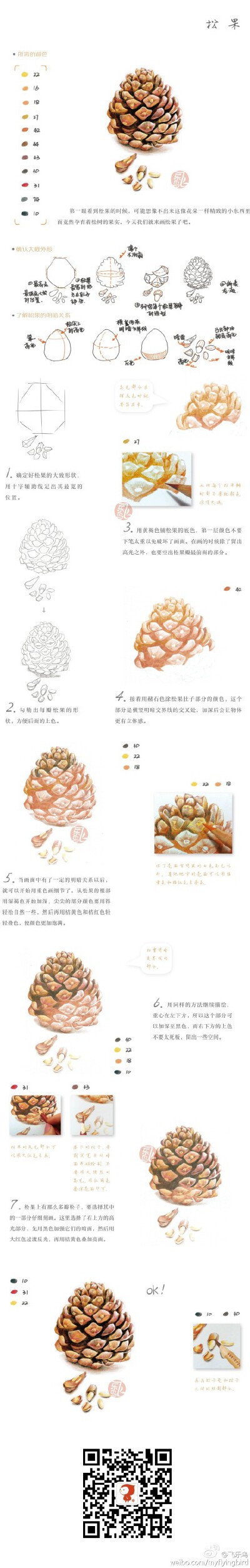 #教程#通过明暗面画出最逼真的松果~就从现在开始哦！
