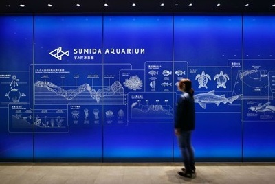 墨田区水族馆视觉形象设计