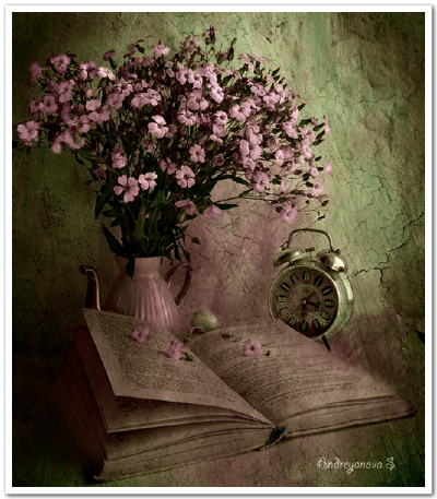 Svetlana <wbr> <wbr>Andriyanov <wbr>的花卉静物摄影