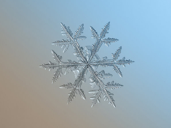 雪是动情的雨。 Alexey Klijatov雪花微距摄影