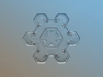 雪是动情的雨。 Alexey Klijatov雪花微距摄影