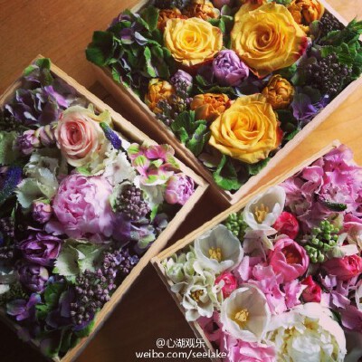 端午粽香，菖蒲、艾草已在工作室门外高高悬挂，长假三天，您有什么安排？
