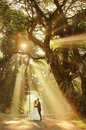 创意婚纱照