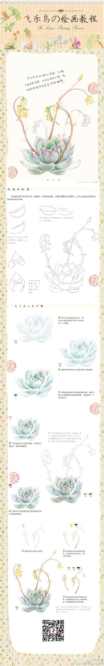 飞乐鸟的微博|新浪微博-随时随地分享身边...