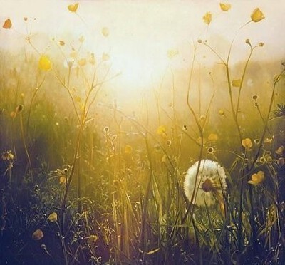 Tomorrow is a brand new day
