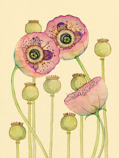 插画师 Collen Parker
