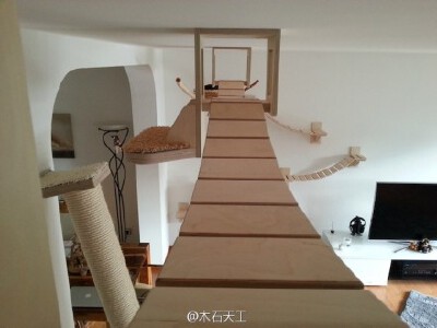 德国有一家公司专门从事猫咪“游乐场”的设计工作，他们推出了一系列索道、平台等设施。经过安装，一间普通住宅马上变成了适合猫咪“探险”的乐园。 http://t.cn/8FtZ5F1