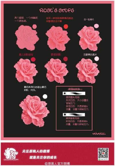 来练习给玫瑰花上色~ via：Velvetta