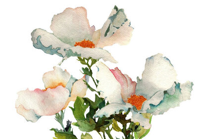 deepcoveflowers