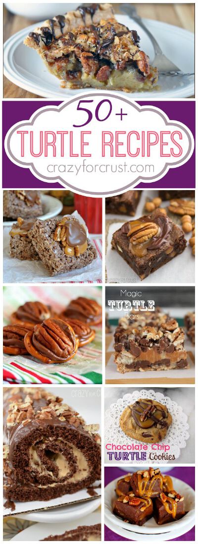 50 Turtle Recipes | crazyforcrust.com | It's a collection of caramel, pecans, and chocolate galore! 浓情。巧