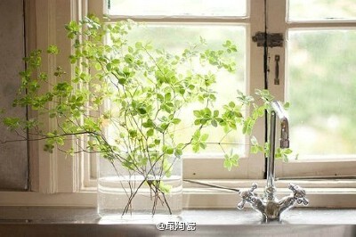 春日好时光
