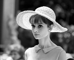 奥黛丽·凯瑟琳·范·赫姆斯特拉·赫本-鲁斯顿（Audrey Kathleen van Heemstra Hepburn-Ruston）