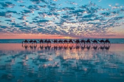 世界这么大，我只想去远行。