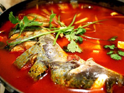 第七集 我们的田野【酸汤鱼】原料：鲫鱼；配料：盐、姜片、蒜头、葱段、番茄块、泡椒节；调料：料酒、红酸汤、木姜子油、盐、白糖、胡椒粉、鸡粉；做法：1、鱼宰杀冶净，先用盐、料酒、姜葱腌20分钟入味。此外，还得…