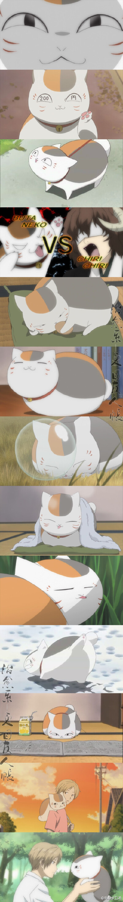 猫咪老师