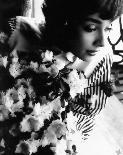 奥黛丽·赫本（Audrey Hepburn）人面桃花相映红