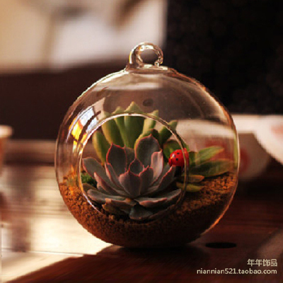 魅力的微景观~~~