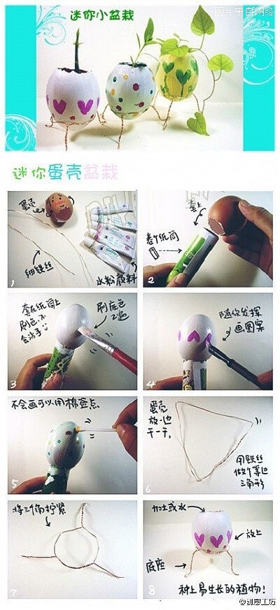 【迷你小盆栽】