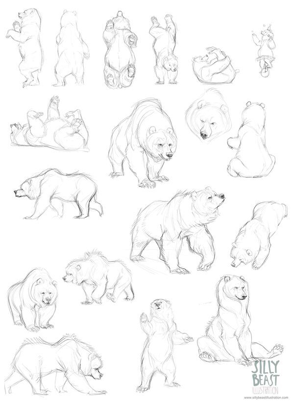 Bear concepts by Therese Larsson, via Behance