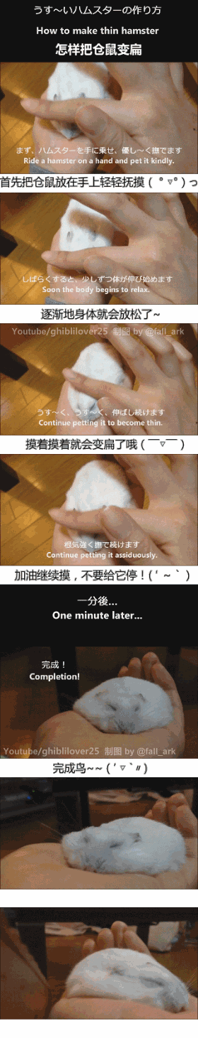 哈哈哈好烦啦！日本网友ghiblilover25分享的“怎样把仓鼠弄扁”教程，总结下来就是顺毛顺毛顺着顺着就瘪了…… 收起|查看大图|向左转|向右转 &amp;lt; &amp;gt; (1463)| 转发(5890)| 收藏| 评论(1440) 5月2日 14:2…