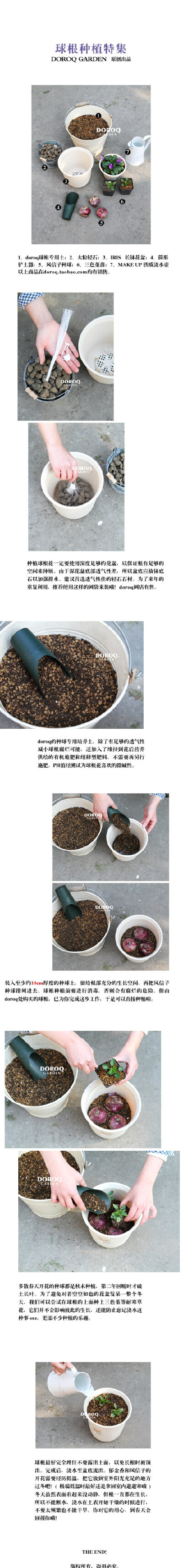 【球根种植特集】