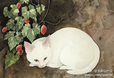 #求是爱绘画#日本插画师MidorYamada～喵