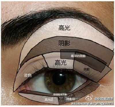 以后照着画画
