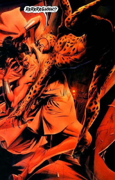 Wonder Woman vs Cheetah •Alex Ross
