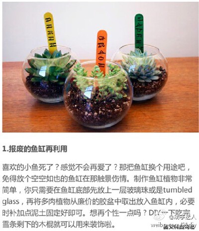 DIY妙招教你利用废旧品打造出创意小花园，get！