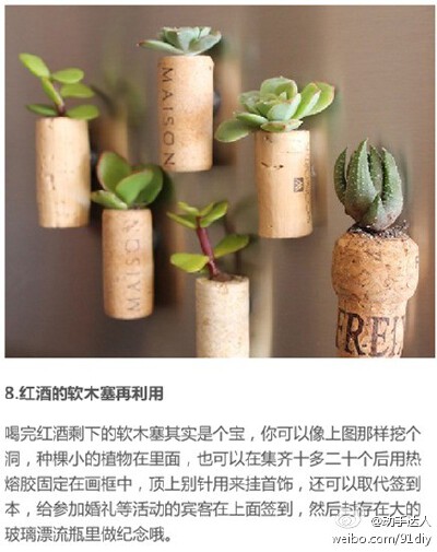 DIY妙招教你利用废旧品打造出创意小花园，get！
