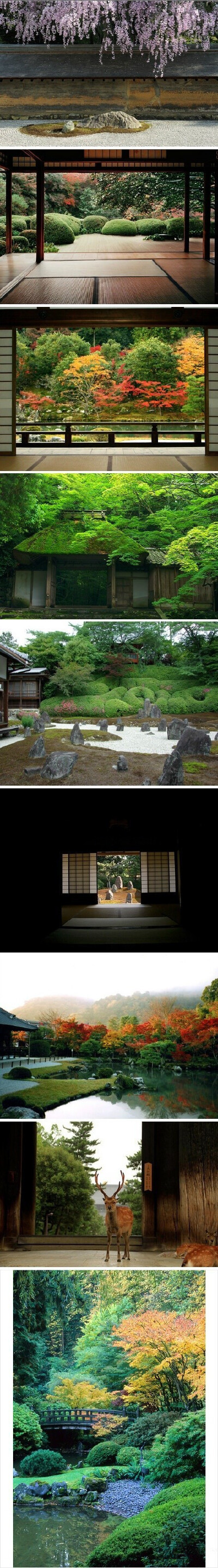 日本庭園，极富禅韵。