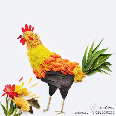用不同颜色的叶子，居然能拼出各种唯美的动物，不得不让人为之感到惊叹。