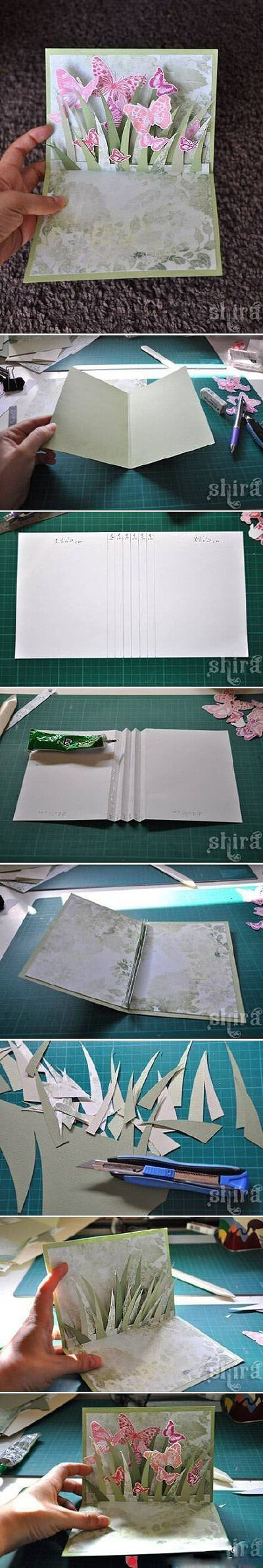 漂亮的蝴蝶卡片