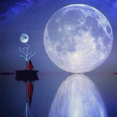 Everyone is a moon, and has a dark side which he never shows to anybody. 每个人都像月亮，都有着不愿示人的一面。