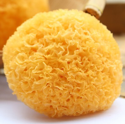 【产地直批】特级古田银耳/白木耳/丑耳/黄金耳/糯耳 食用菌干货