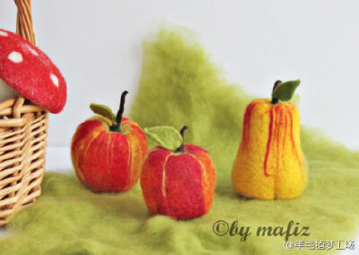 超美的羊毛毡植物世界。（（来自：ETSY网站，作者：https://www.etsy.com/shop/mafiz?ref=pr_shop_more）